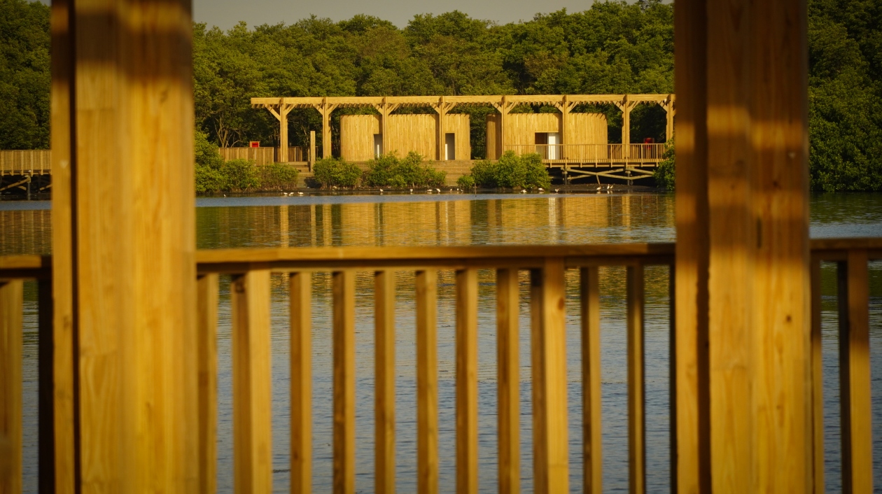 Amanecer en el Ecoparque Ciénaga de Mallorquín.