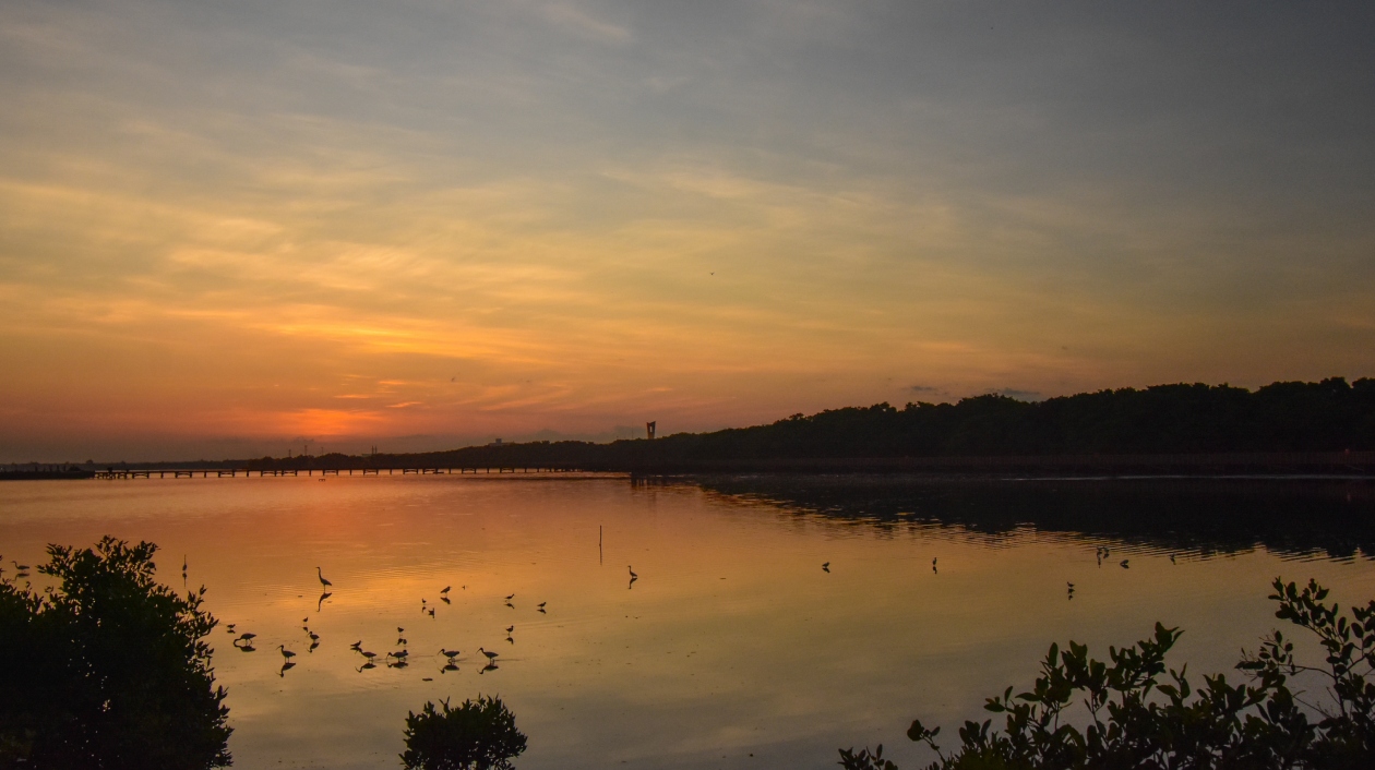 Amanecer en el Ecoparque Ciénaga de Mallorquín.