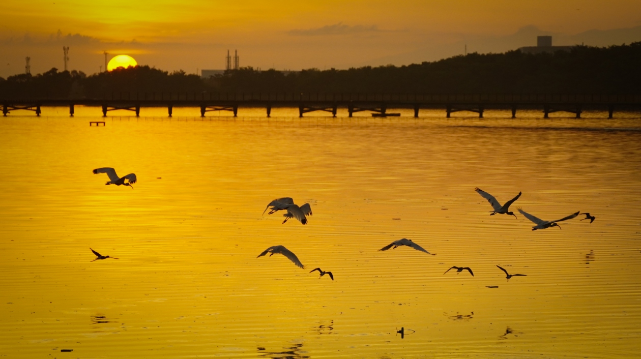 Amanecer en el Ecoparque Ciénaga de Mallorquín.