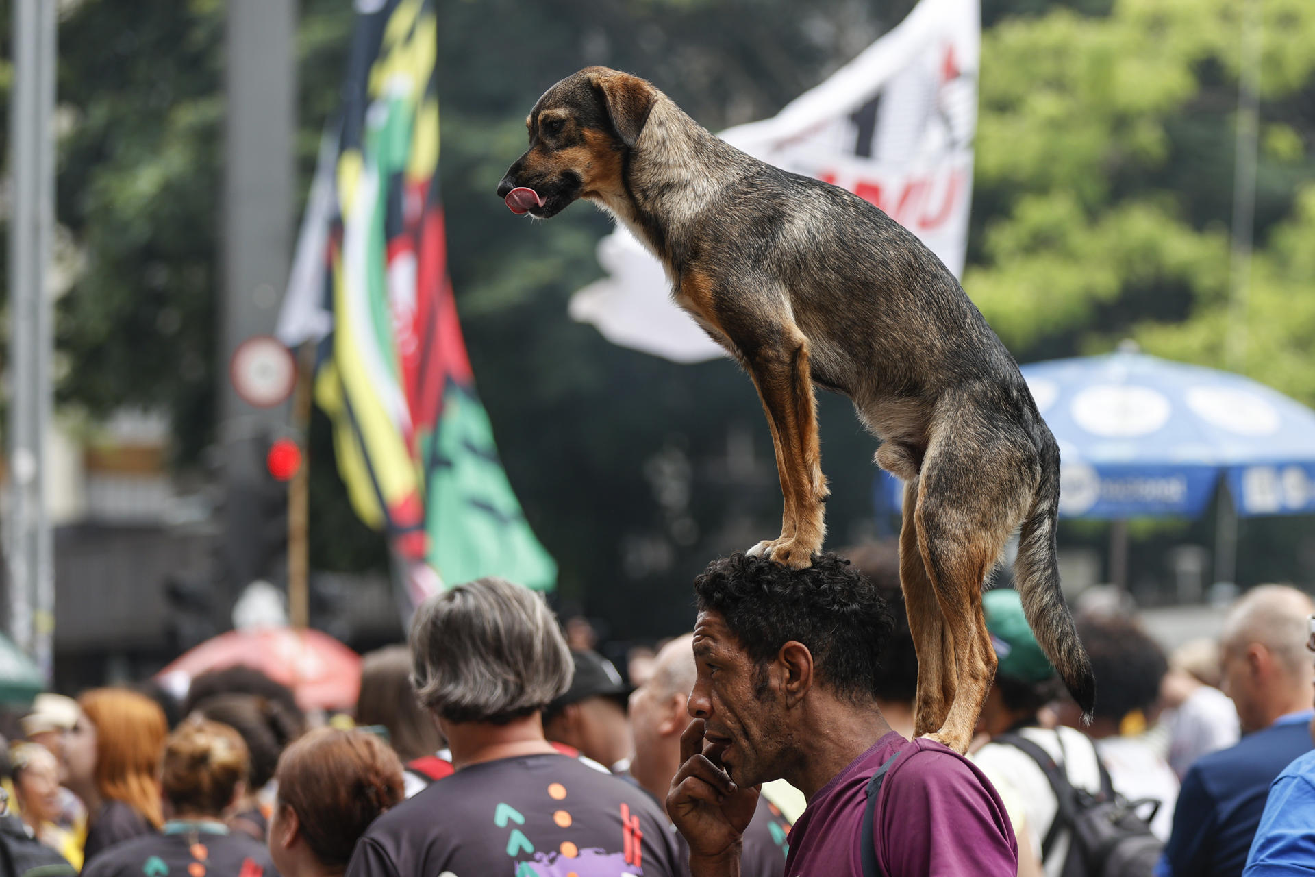 Activistas en Sao Paulo.