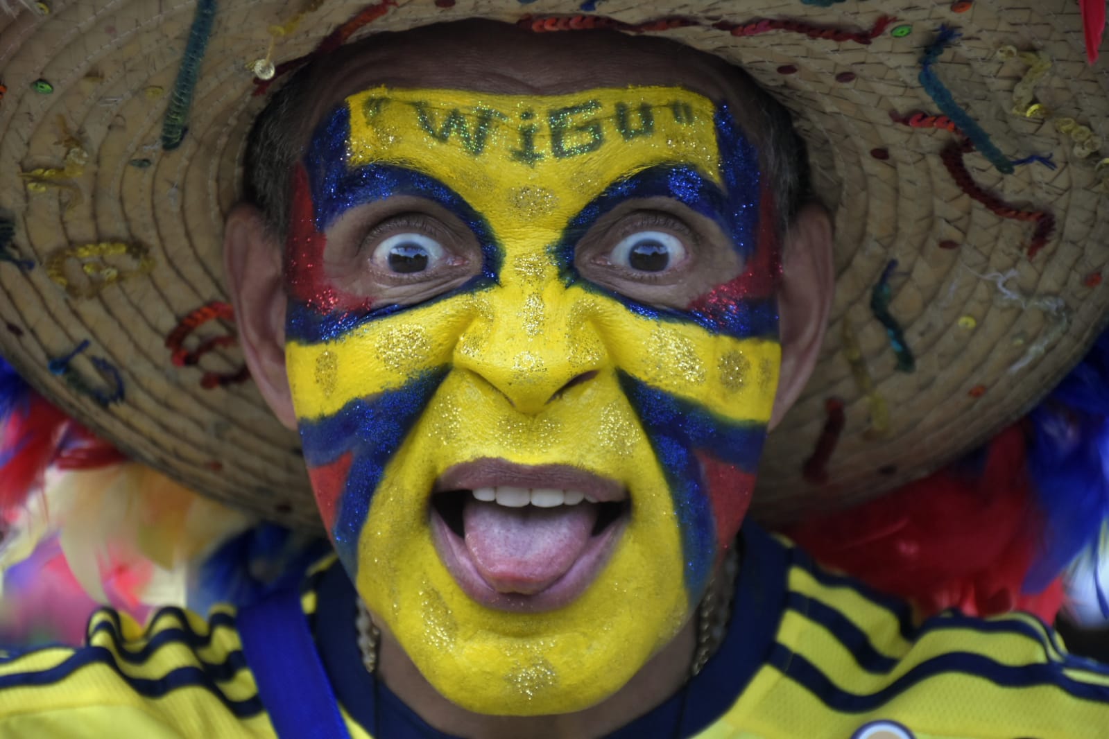 El Carnaval también se vistió de la selección Colombia.