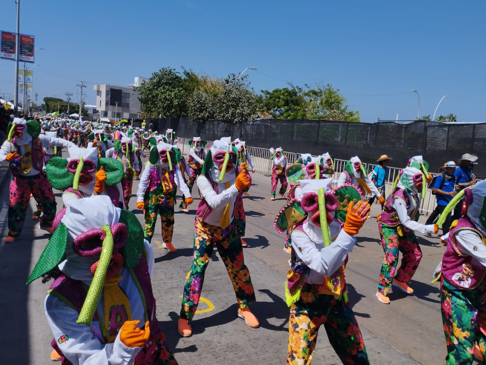 Marimondas De Barrio Abajo.