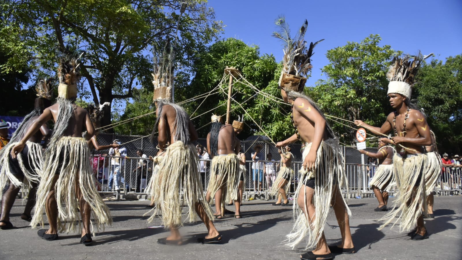 Las palmitas de la Jagua de Ibirico.