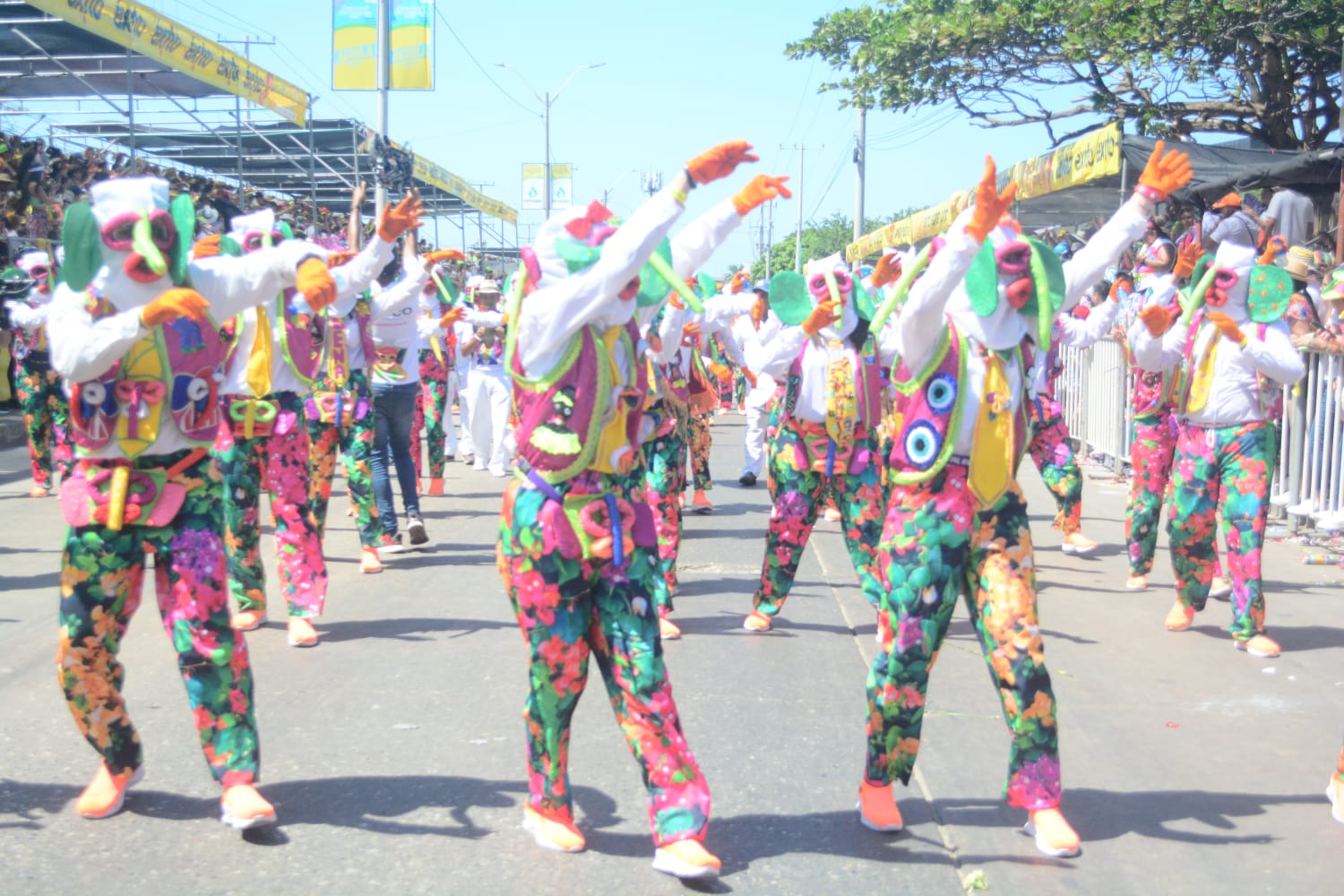 Marimondas Barrio Abajo.