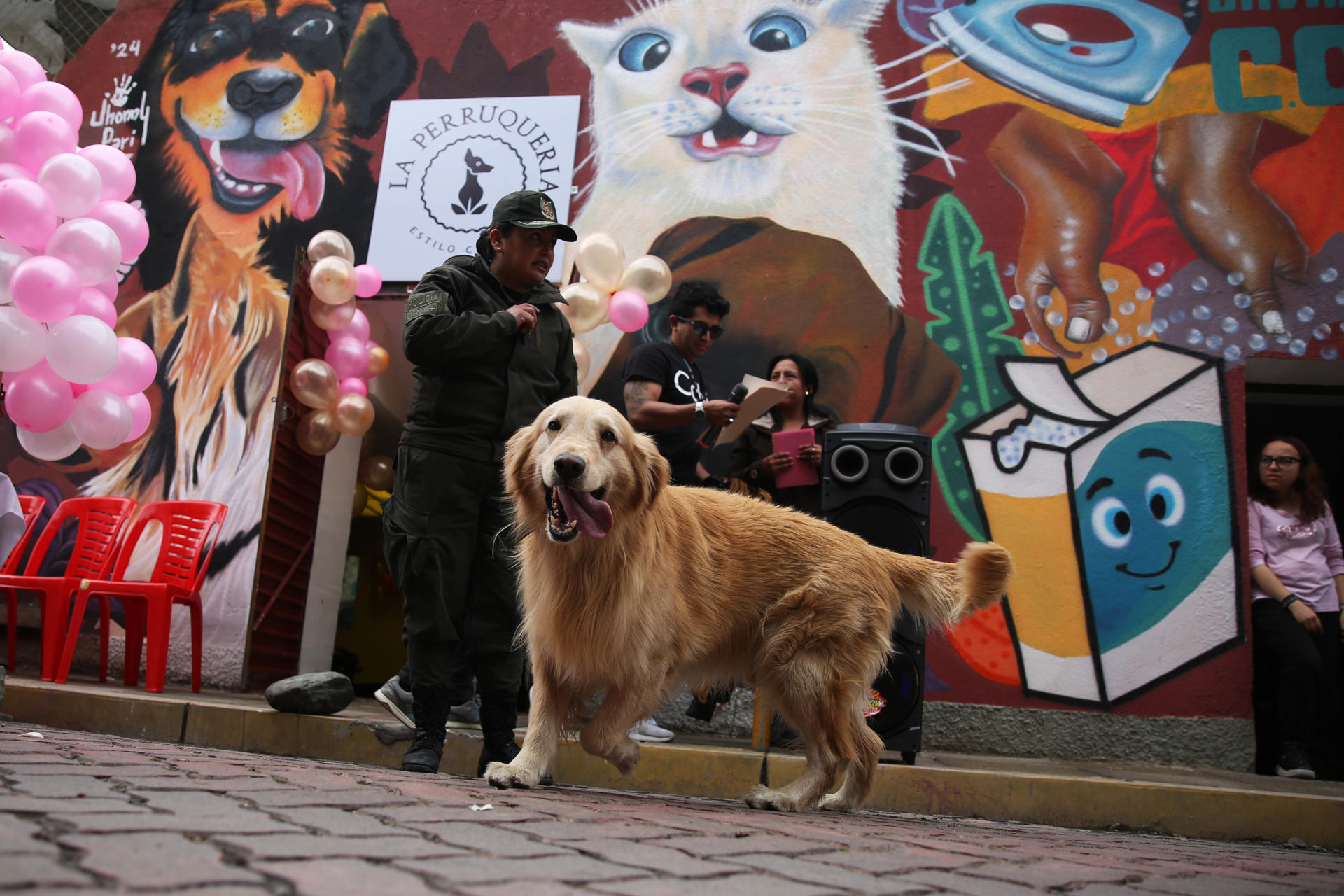 Está ubicado en La Paz (Bolivia).