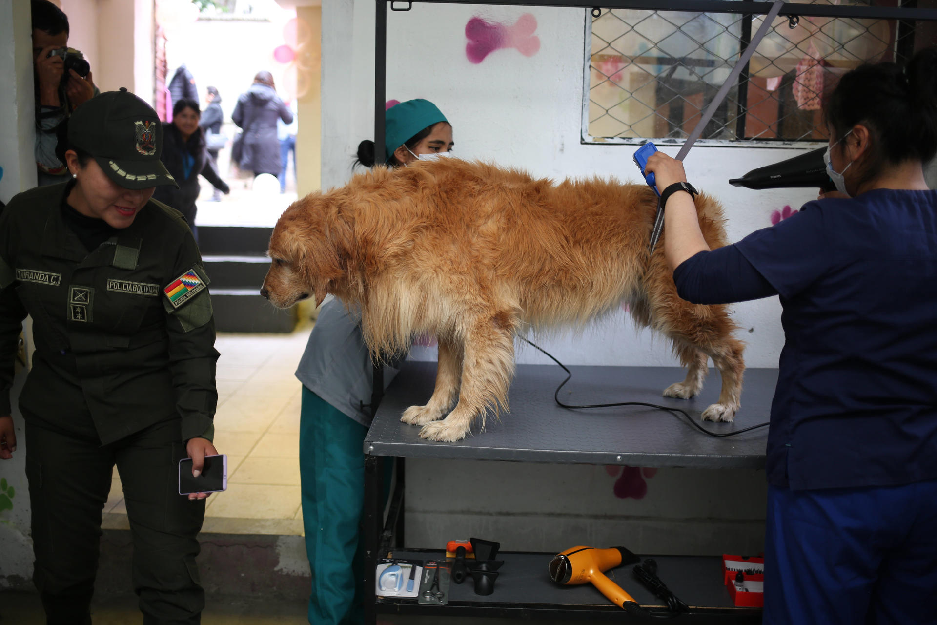 Un perro es secado por una interna del centro penitenciario de mujeres.