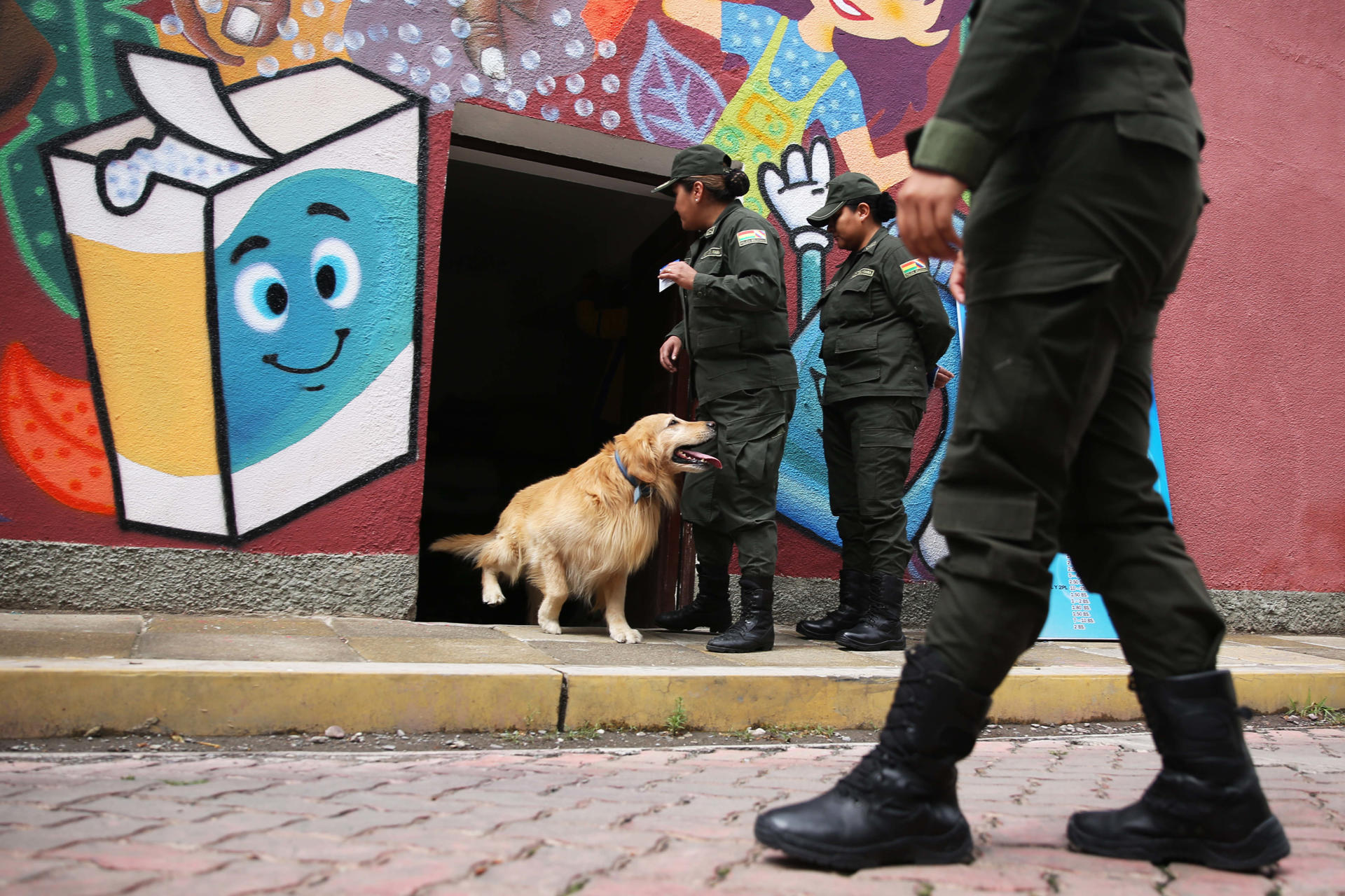 Las mujeres podrán generar ingresos con esta peluquería canina.