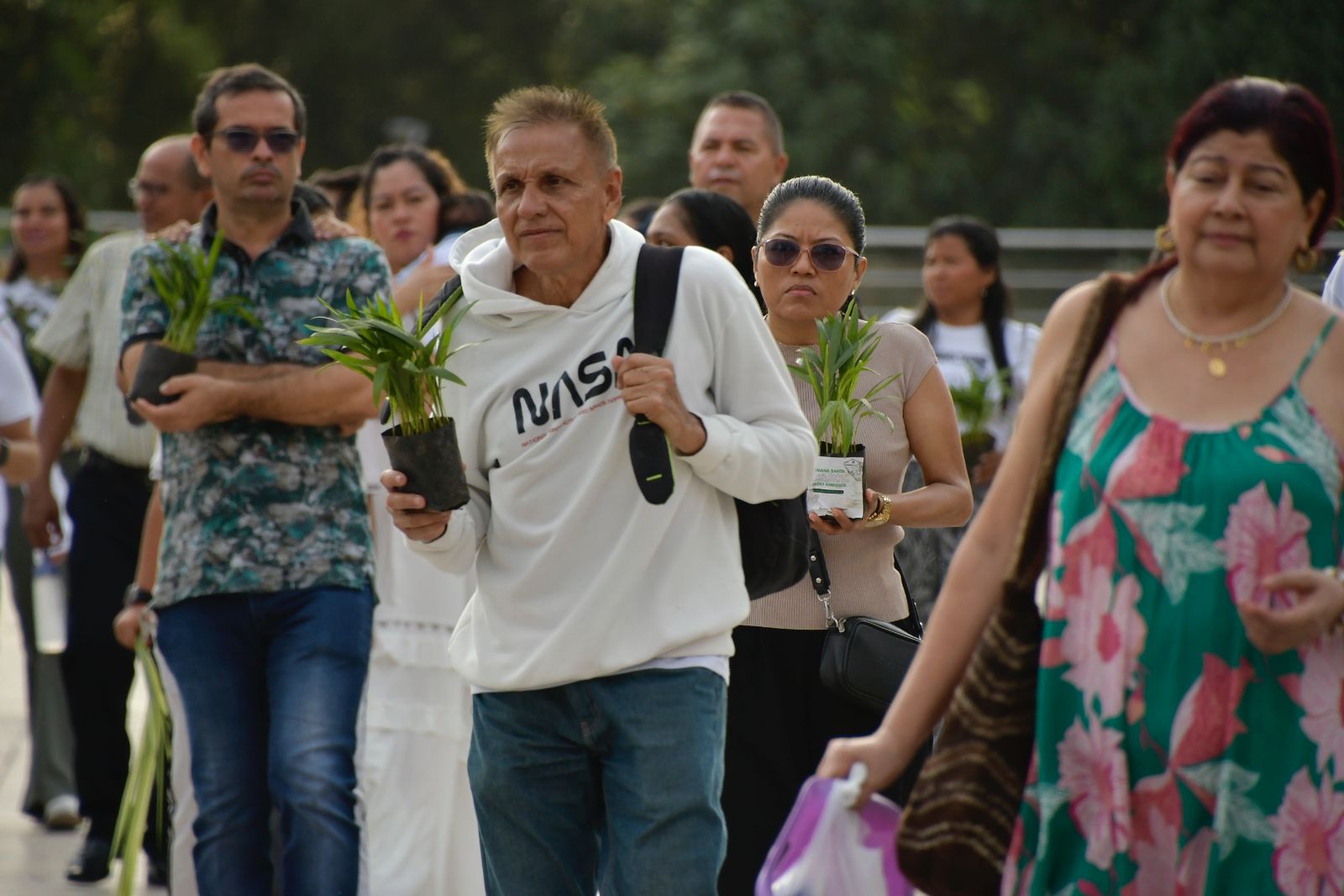 La feligresía llevó material vegetal diferente a la palma de cera