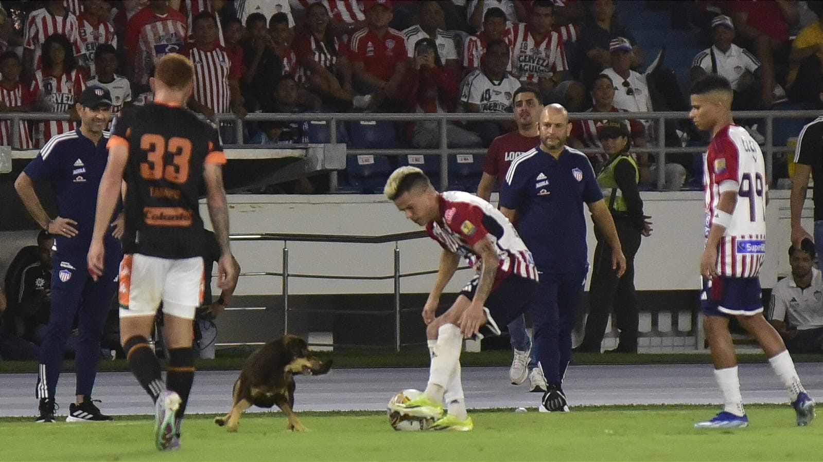 Wálmer Pacheco fue otro que trató de hacer salir al perro de la cancha.  