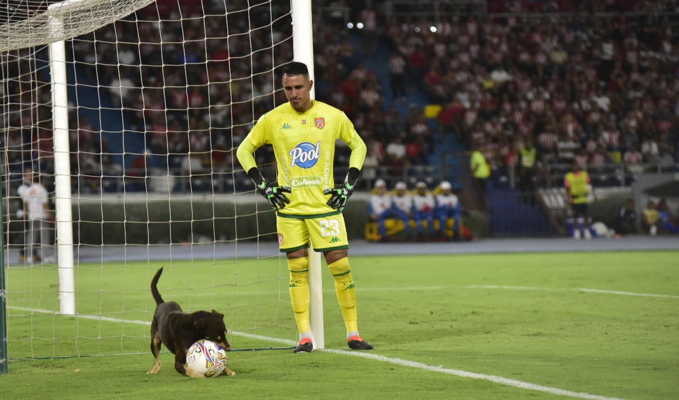 Felipe Parra, portero del Envigado, observa al perro que entró a la cancha, juguetear con la pelota. 