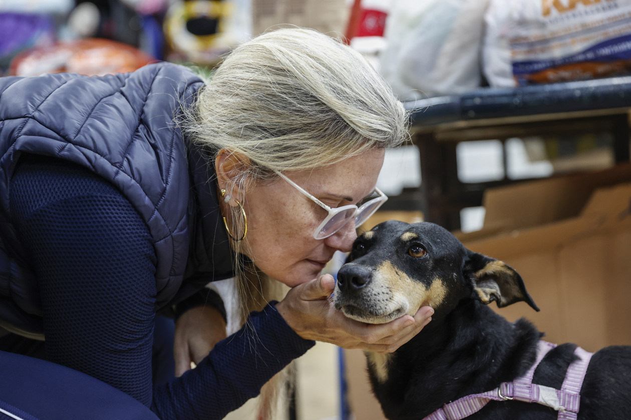 Mujer y uno de los perros que fue rescatado.