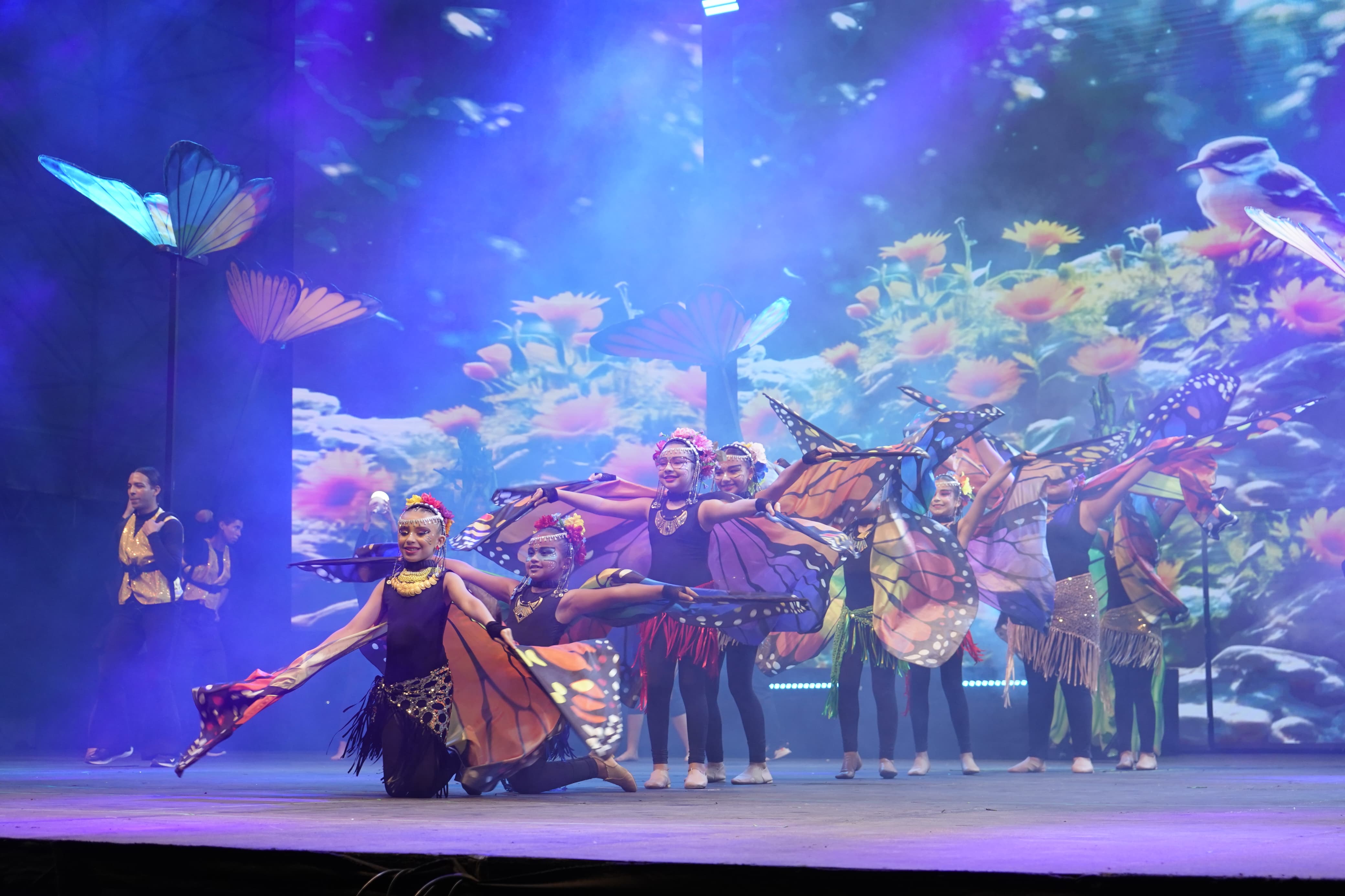 Las mariposas hicieron parte del show.