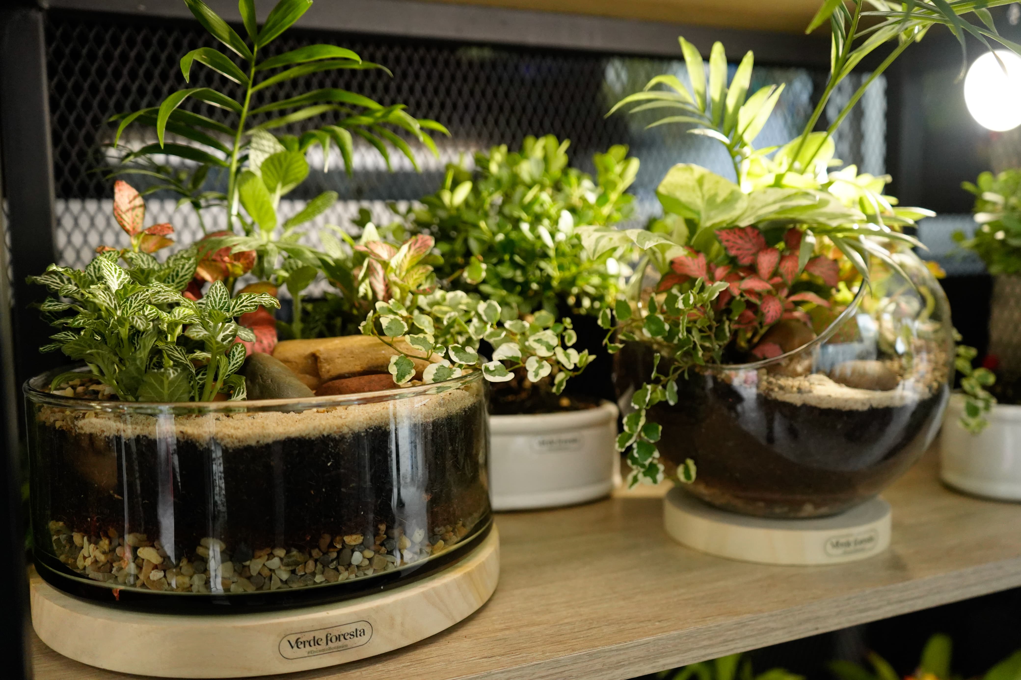 El cuidado del medioambiente también hizo parte de la feria con la marca 'Verde foresta’.