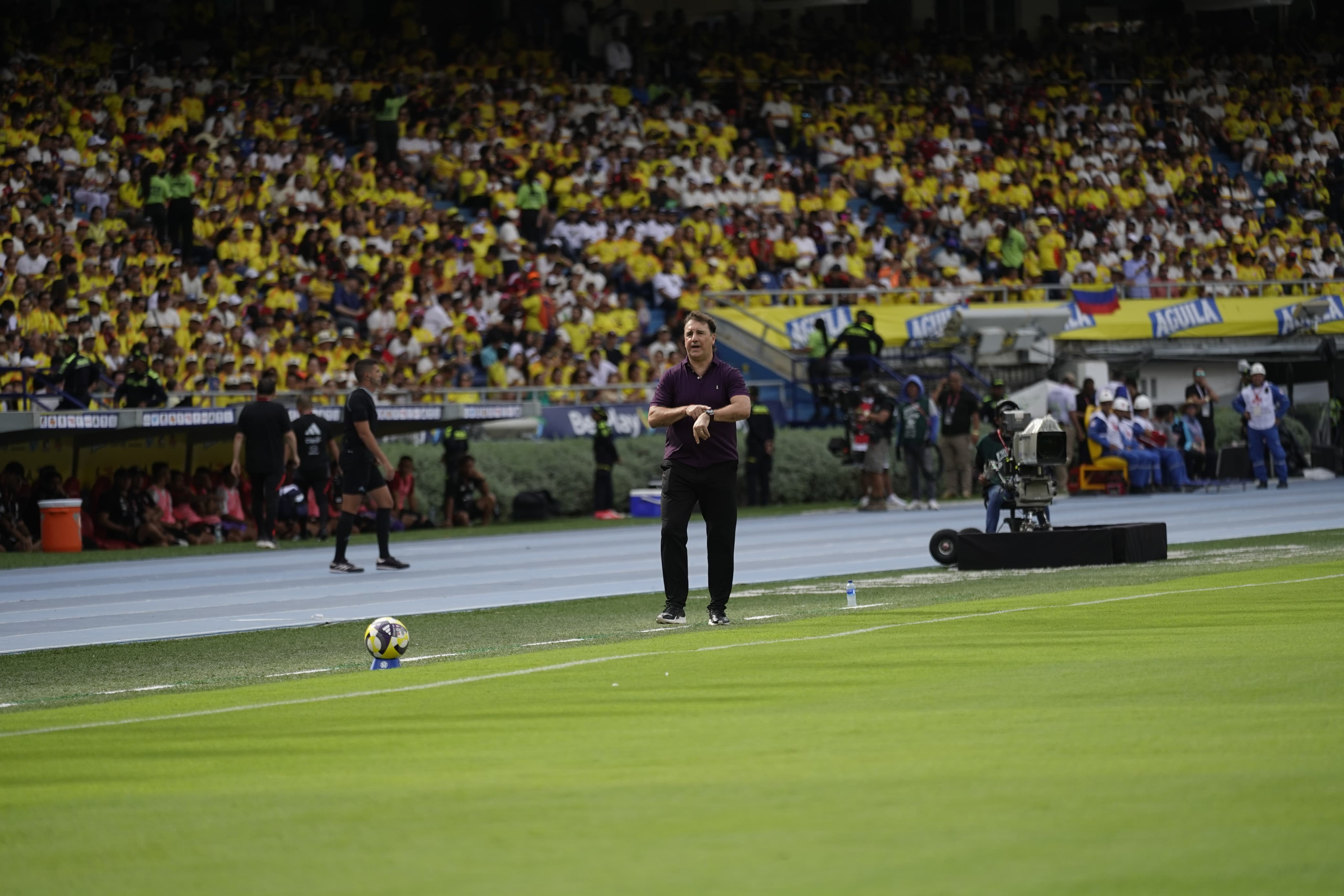 El técnico de la Selección Colombia, Néstor Lorenzo.