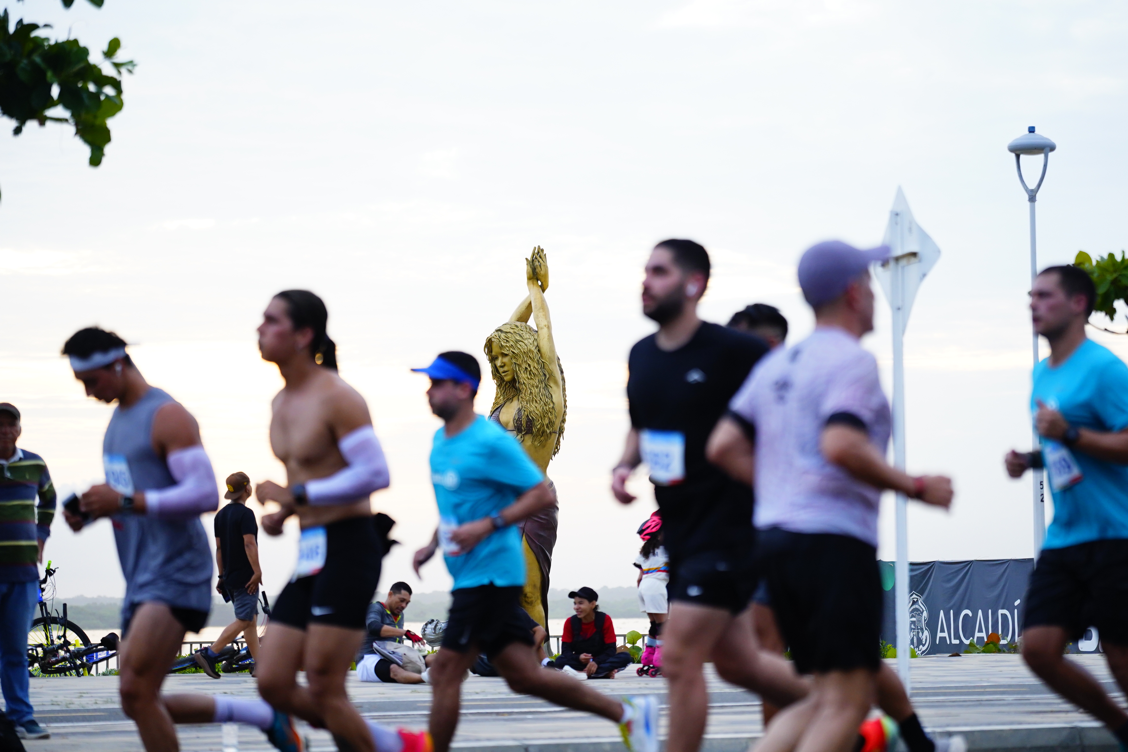 Imagen de la carrera Allianz 15K.