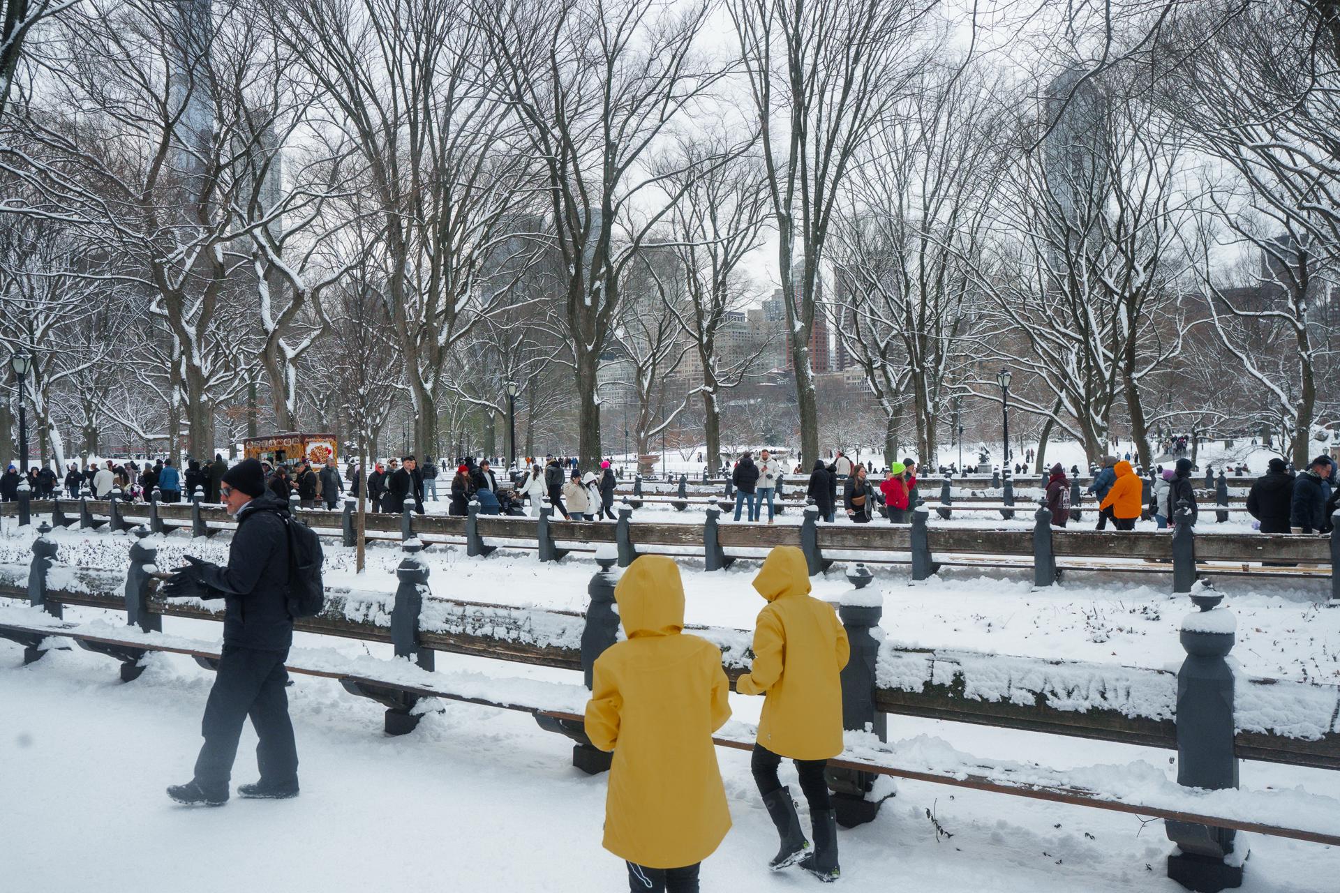 Así se encuentra Nueva York ante el temporal invernal.                                           