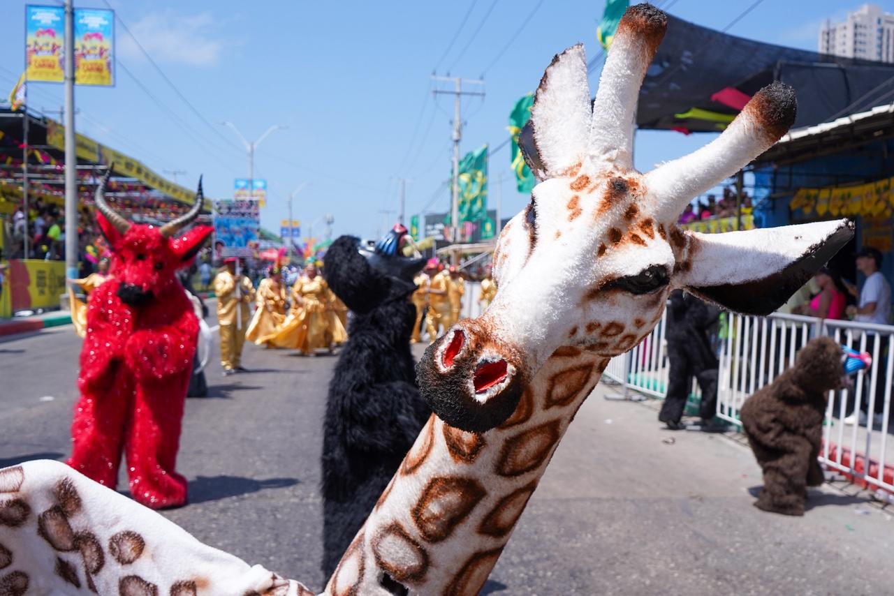 Disfraces Selva Africana. 