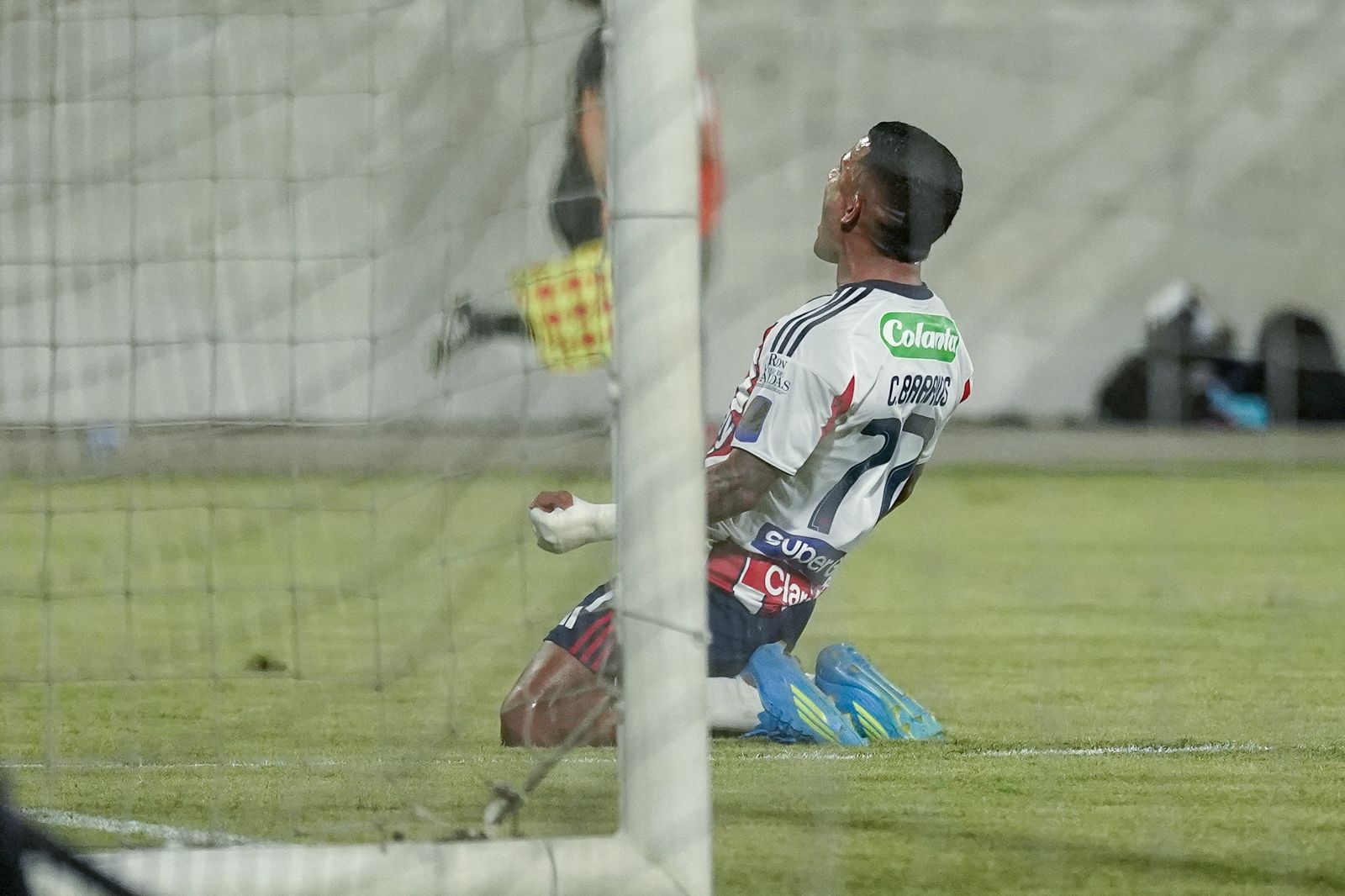 Celebración del gol de Cristian Barrios.
