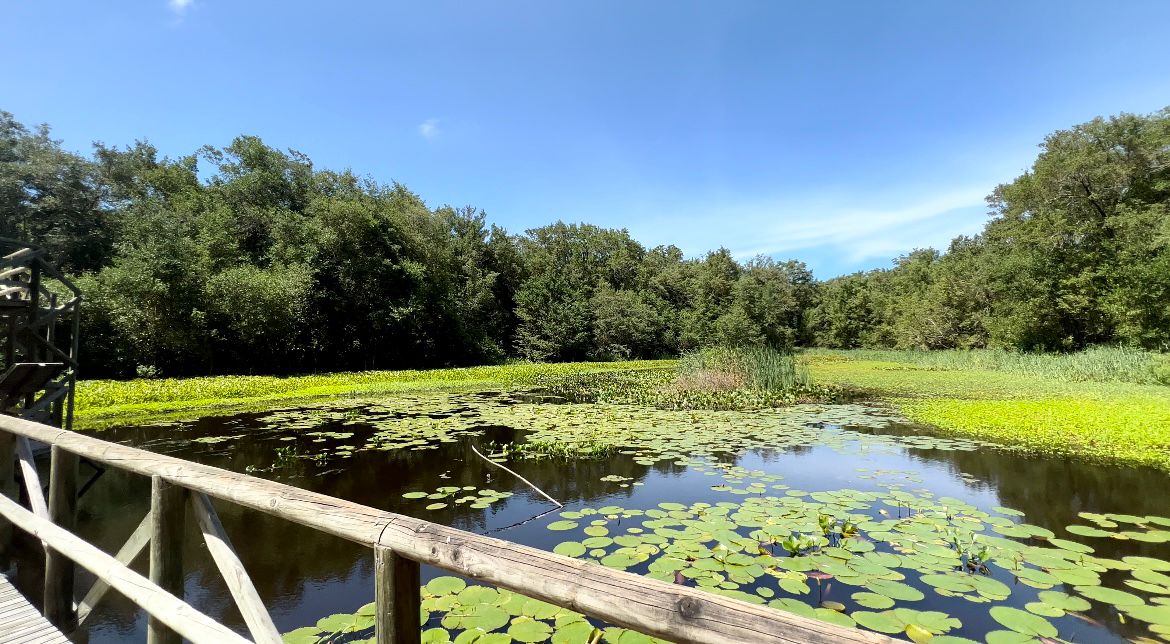 Parque Isla Salamanca