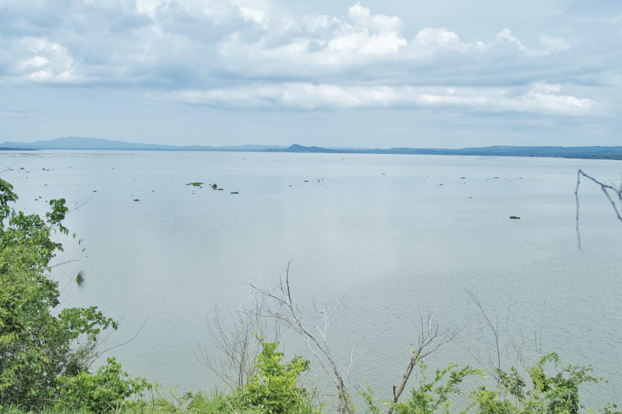 Embalse del Guájaro