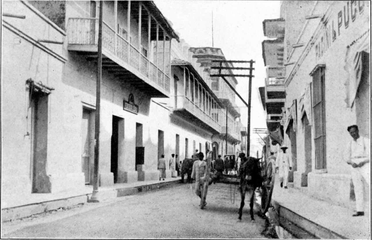 Calle del Comercio entre carreras 43 y 42. 1928.