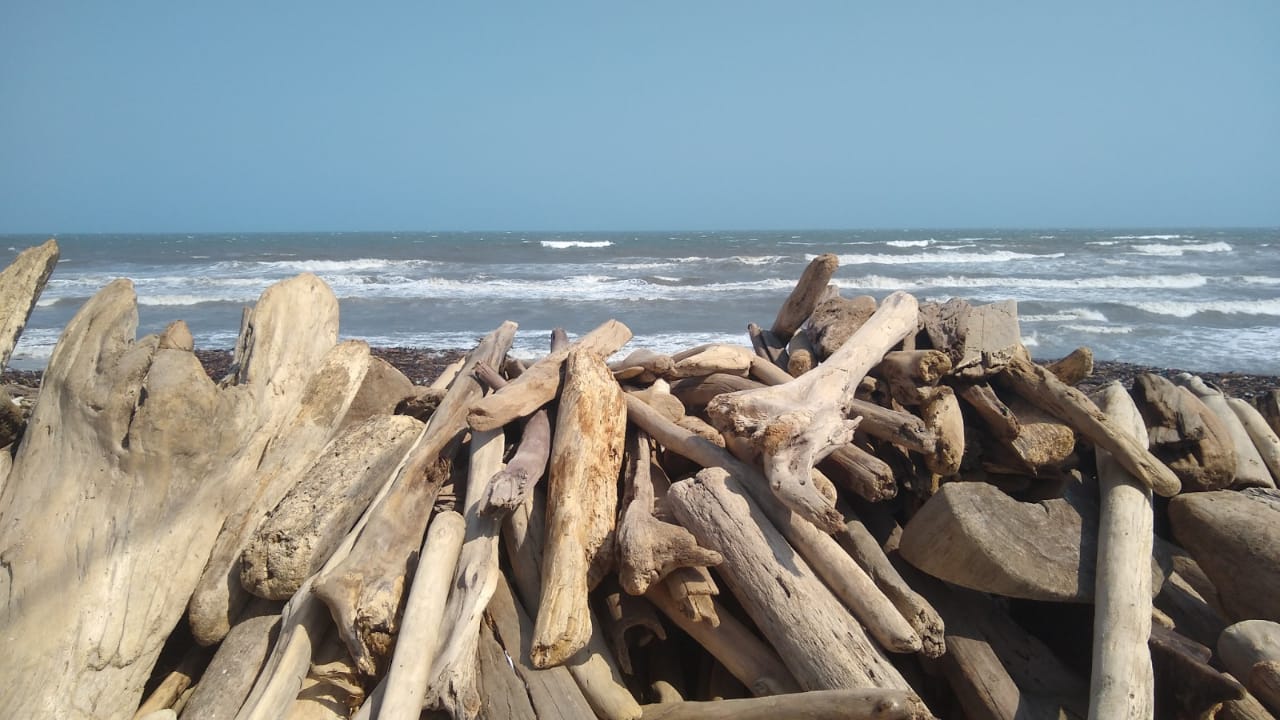 Playas de Puerto Colombia
