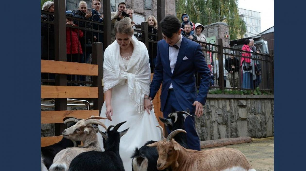 Antón, de 24 años, y María, de 23, fueron los pioneros en oficializar -el pasado fin de semana -su relación en el zoológico de Moscú.