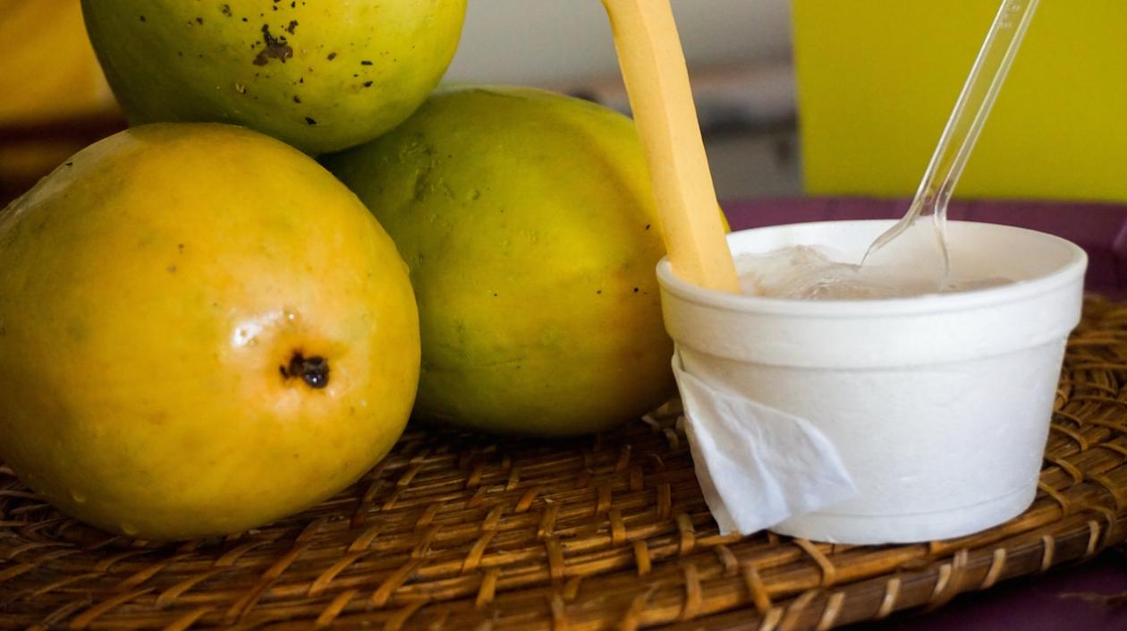 Muestra de productos que serán exhibidos.