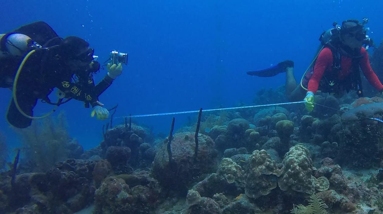 El director de Corales de Paz, Phanor Montoya Maya, y el fundador del Movimiento Ambientalista Colombiano, Camilo Prieto, mientras toman datos del proceso de crecimiento en una guardería de coral