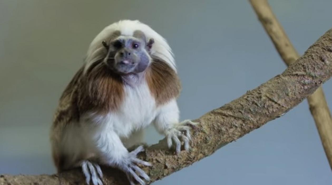 Imagen del documental.