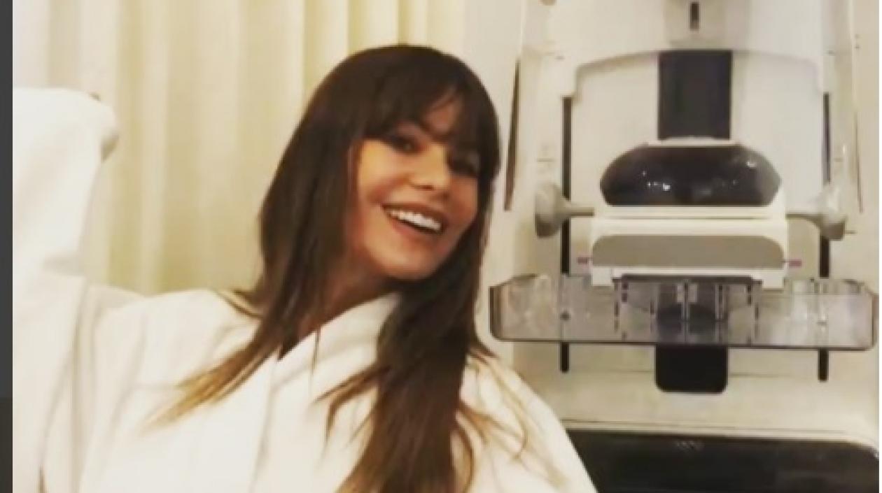 La actriz y empresaria Sofía Vergara.