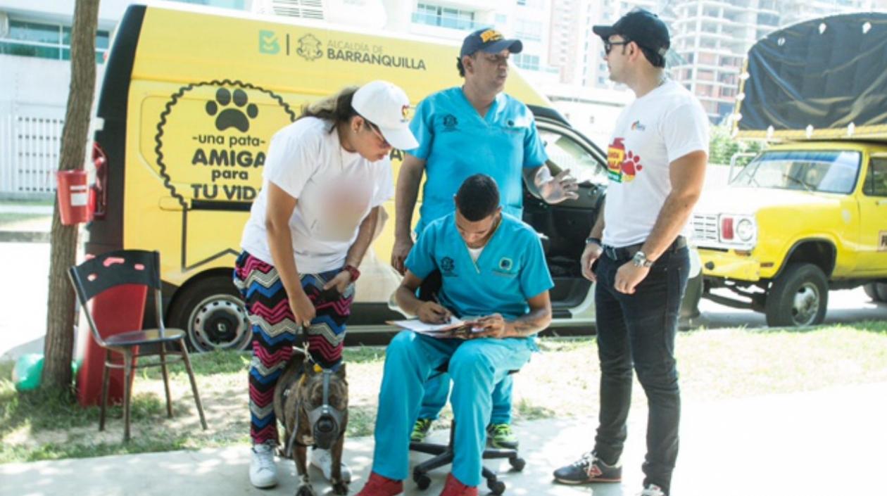 Imágenes de la Segunda Animalatón.