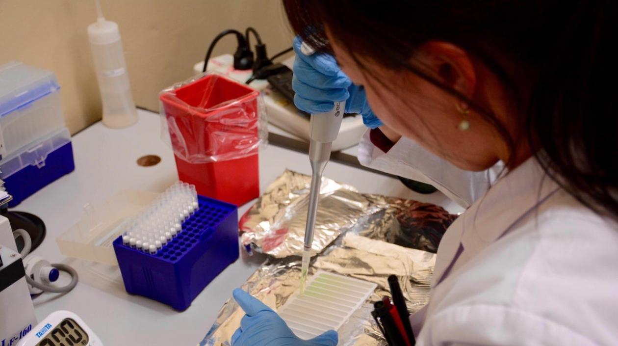  La enfermedad es causada por la bacteria "Mycobacterium tuberculosis", que casi siempre afecta a los pulmones.