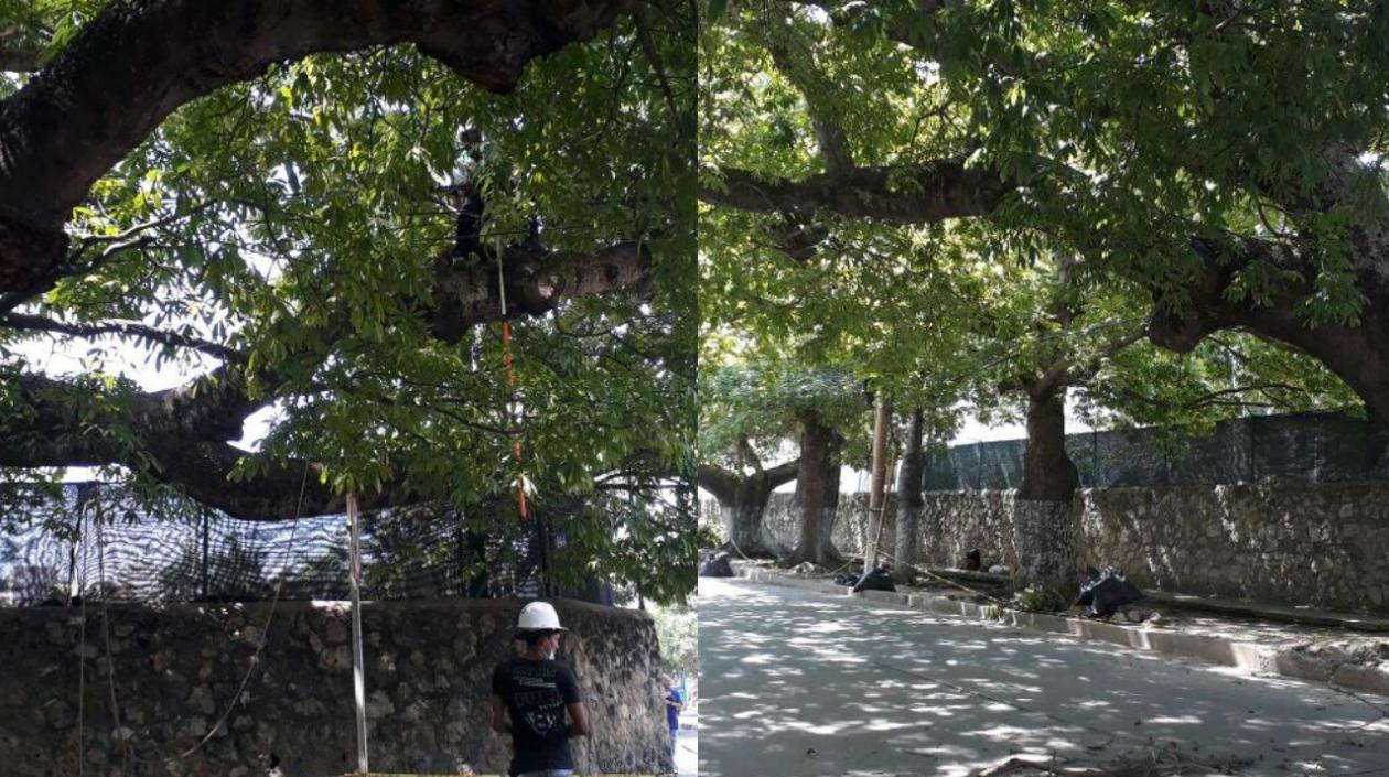 Así trabajan operarios en la recuperación de las bongas del Hotel El Prado.