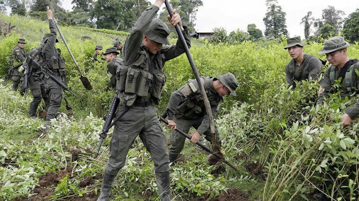 Erradicación de cultivos ilegales en el sur de Colombia
