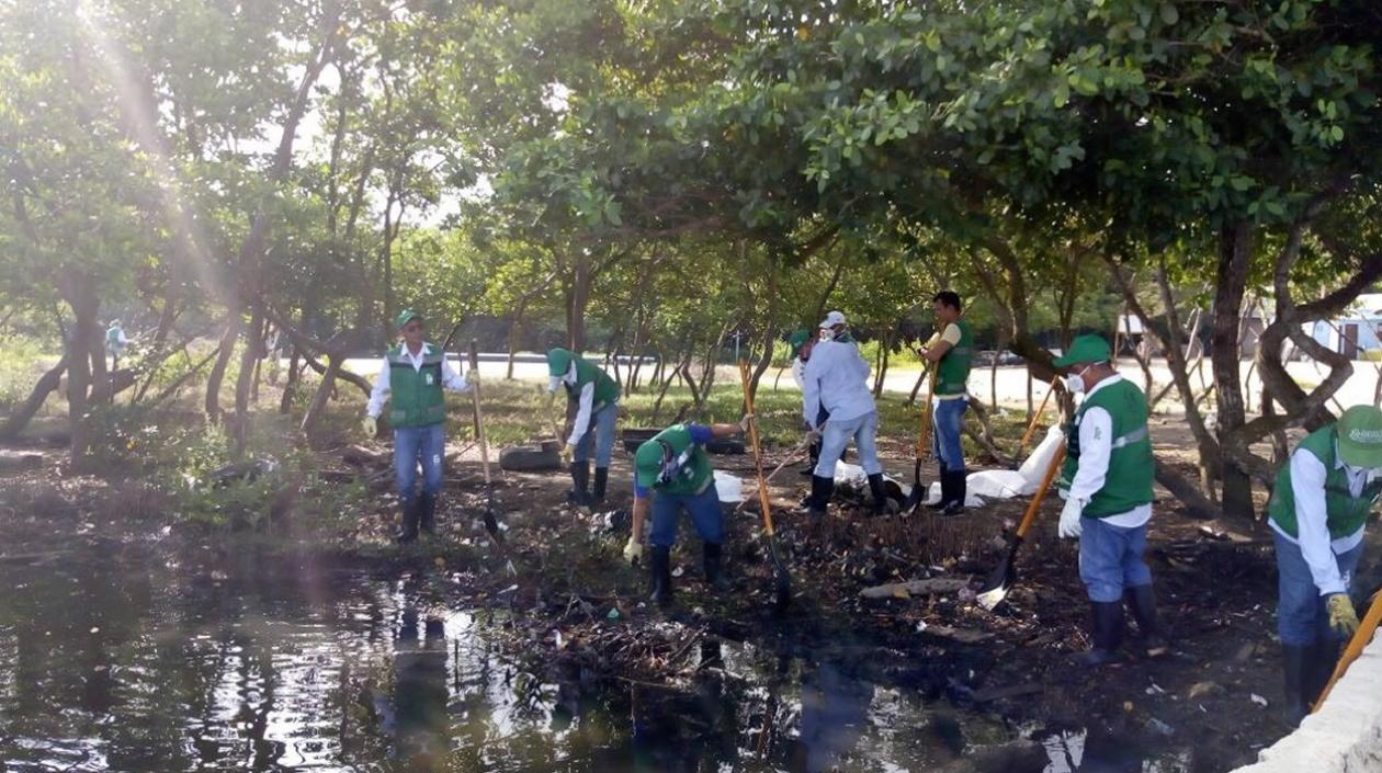 Los residuos sacados de la Ciénaga fueron llevados a la orilla.