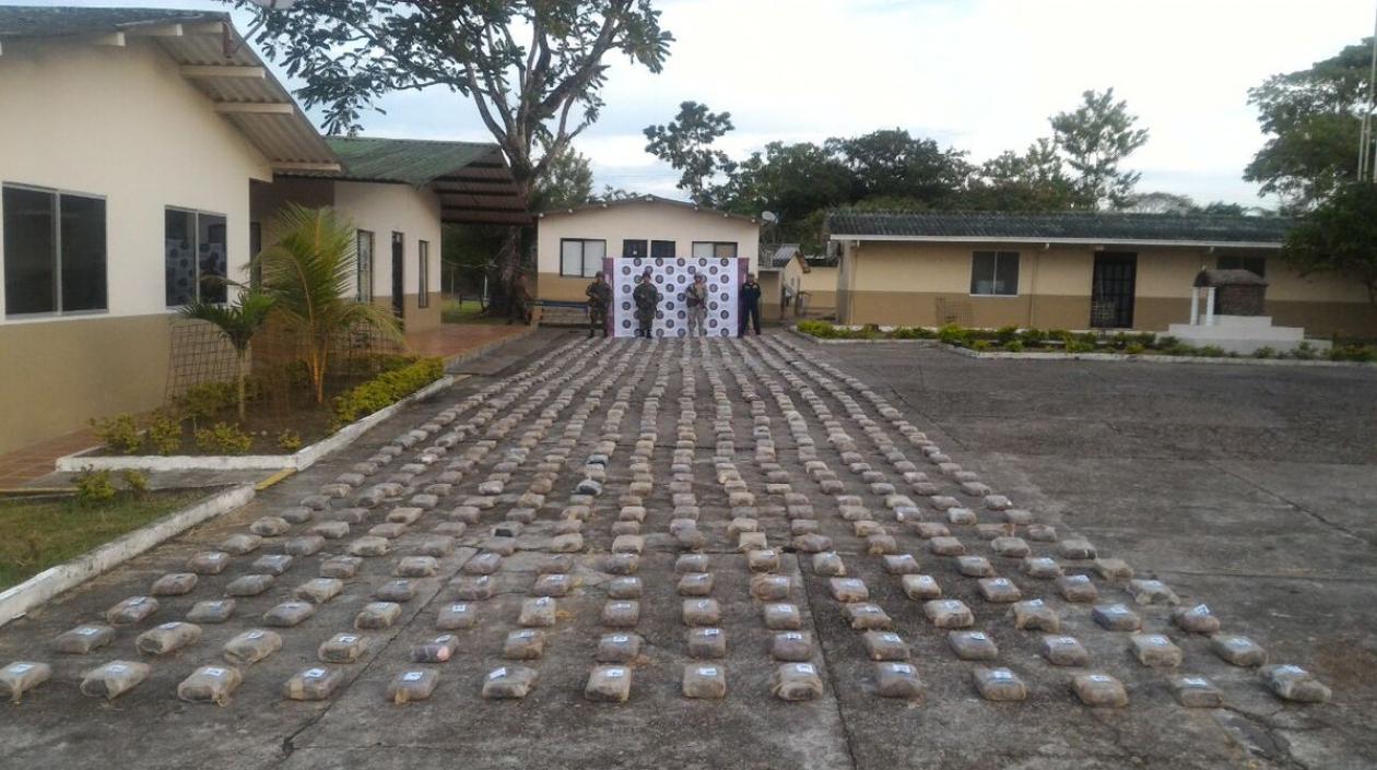 La marihuana incautada. 