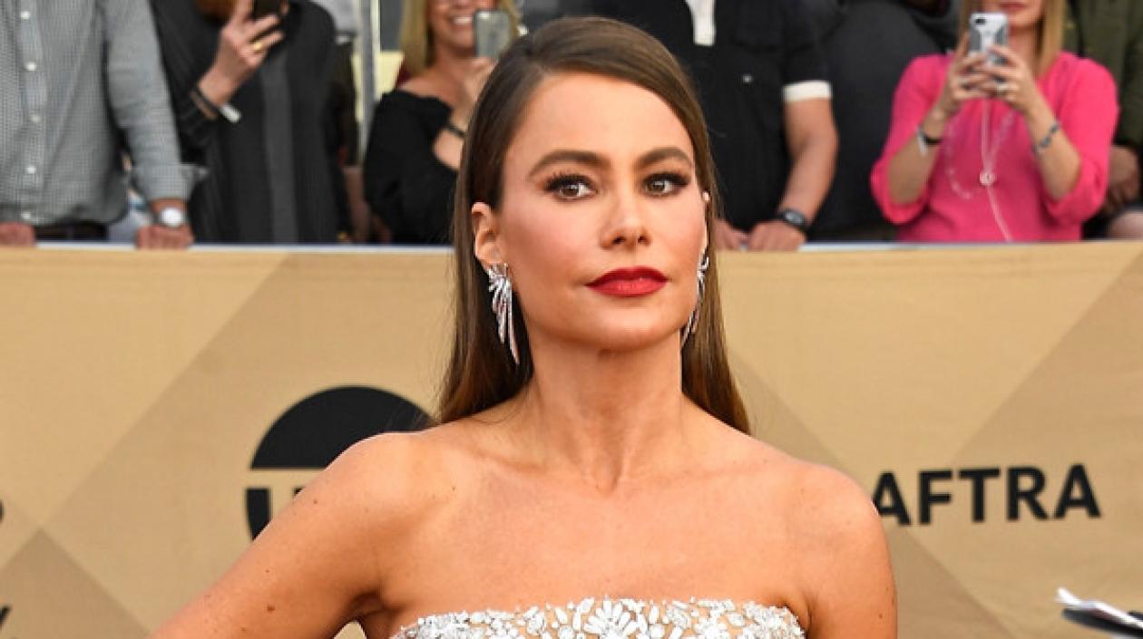 La actriz y empresaria Sofía Vergara.