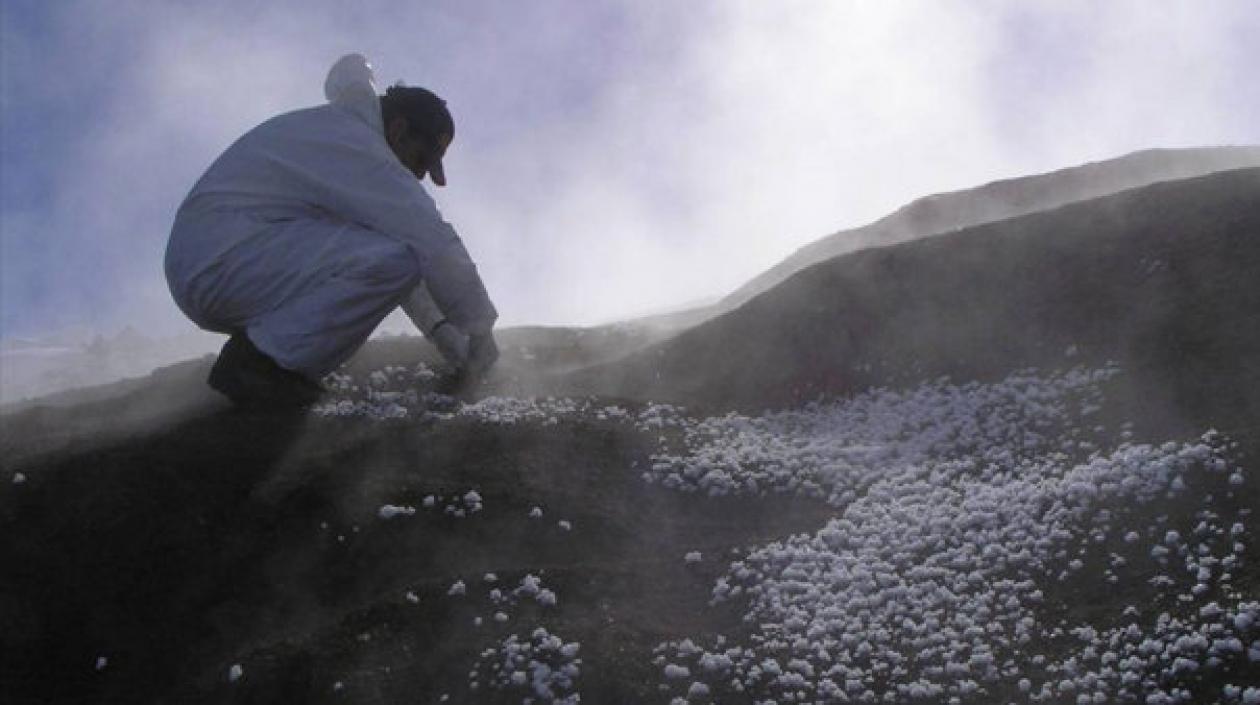 Se trata de un catálogo de referencia diverso de microbios y microbiomas en la Tierra.