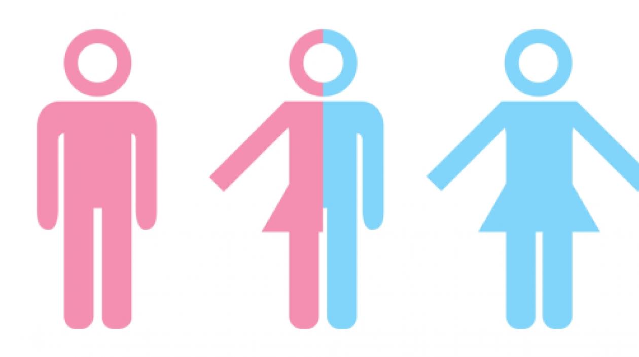 El fallo supone un paso más allá en la adquisición de derechos de las personas intersexuales en Alemania.