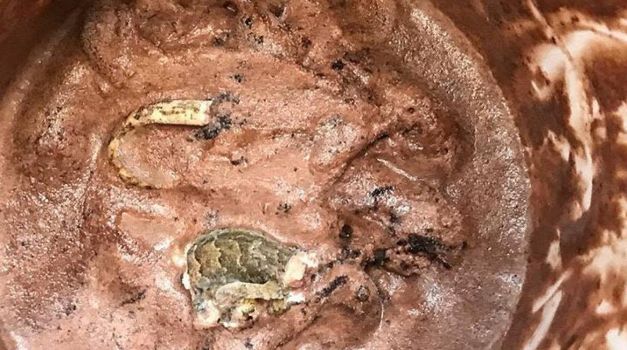 Partes del animal dentro del pote del helado.