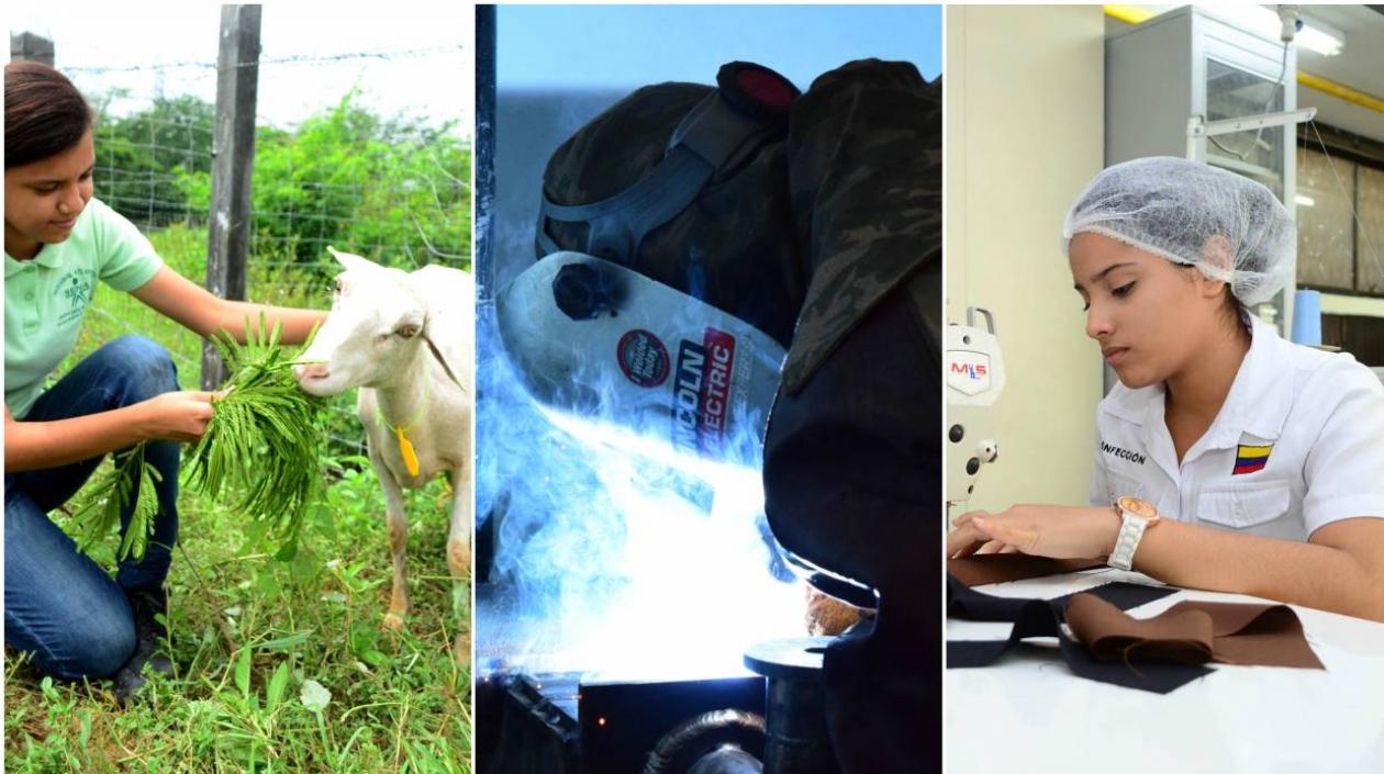 Los nuevos estudiantes iniciarán clases el 29 de enero de 2018.