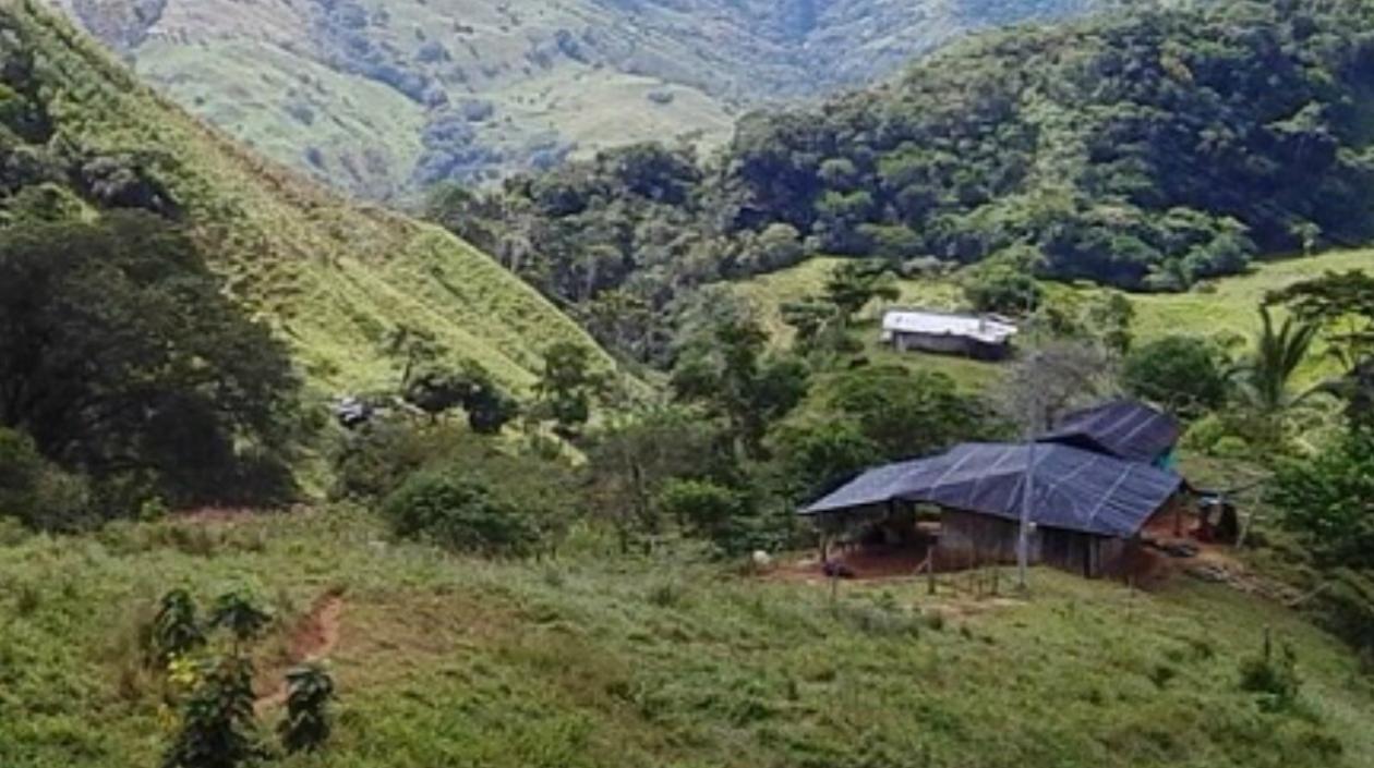 En este predio de Valdivia se presentó la masacre