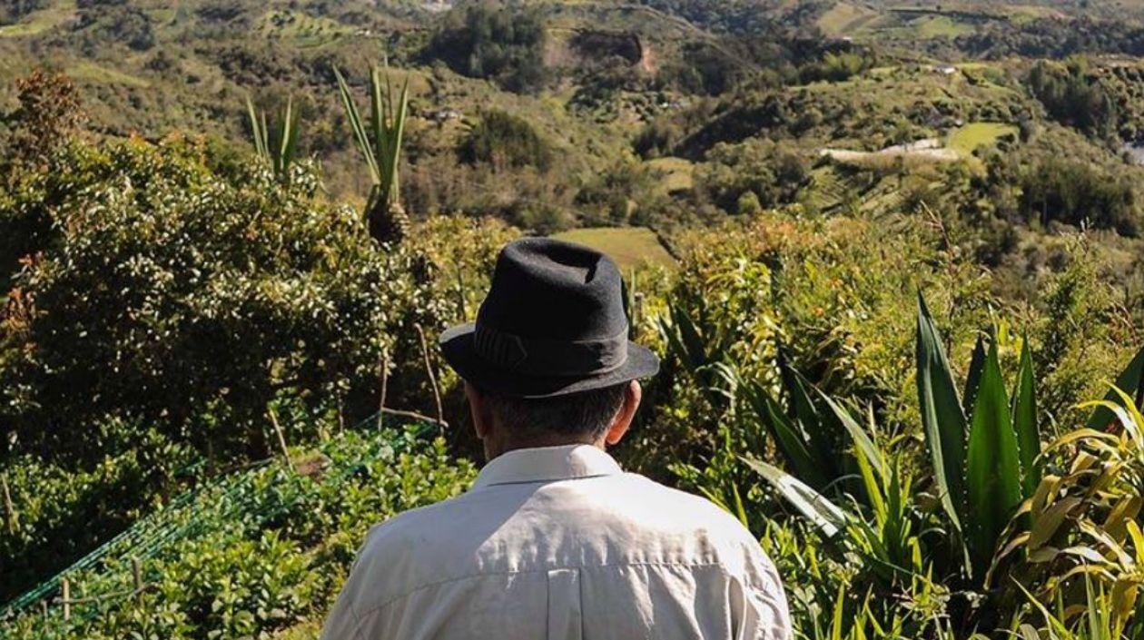 En el trimestre julio-septiembre sobresalió el sector agropecuario, que tuvo una variación positiva del 7,1 %.