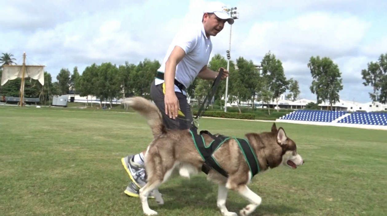 Así se práctica el Canicross. 