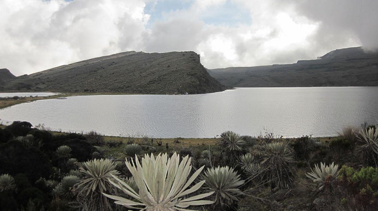Páramo de Sumapaz.
