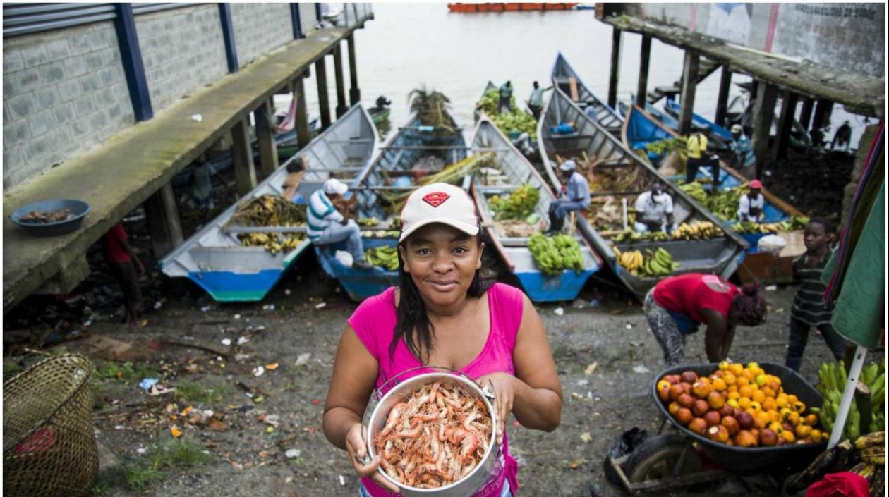 Desde que se inició en 2013 el programa del FIDA para mejorar las capacidades productivas en zonas rurales de Colombia.