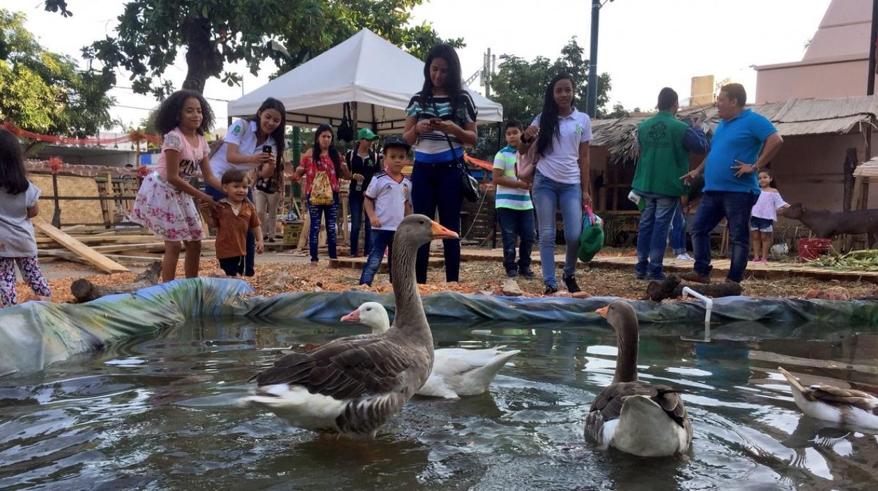 Algunas personas se han tomado fotos en el nuevo pesebre.