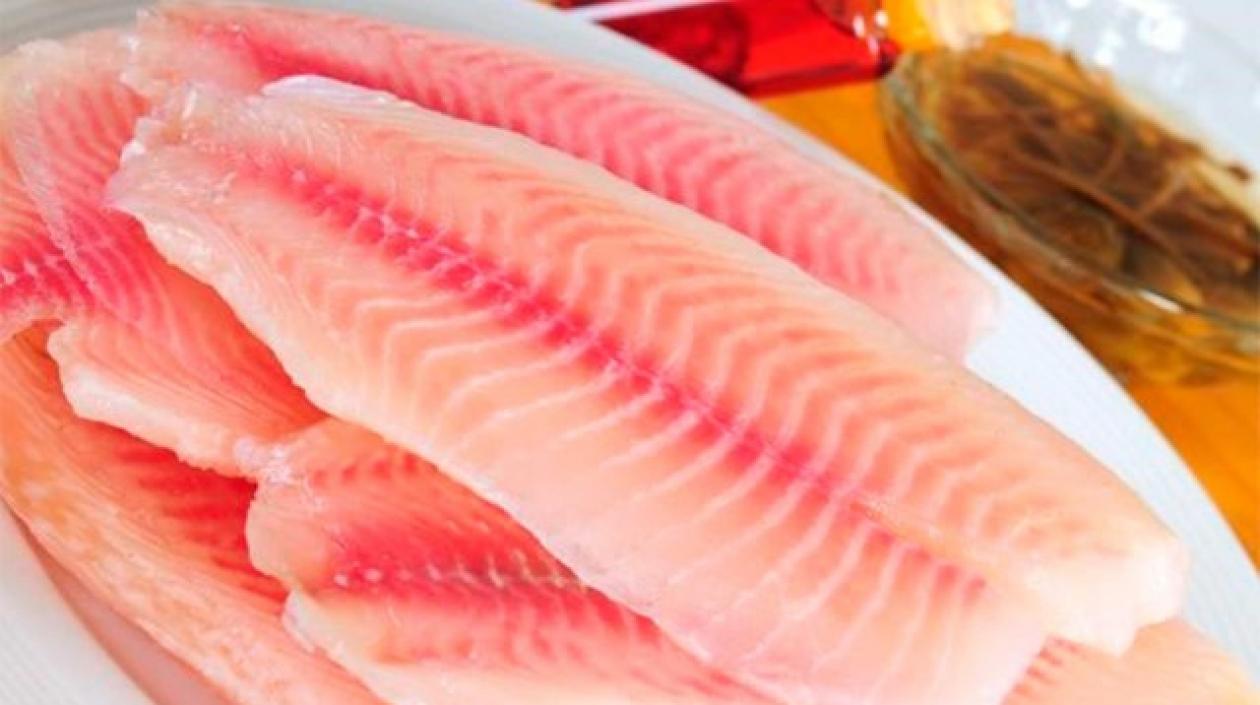 Cinco convenios de asistencia técnica por $ 6.390 millones serán para los productores de tilapia en Colombia.