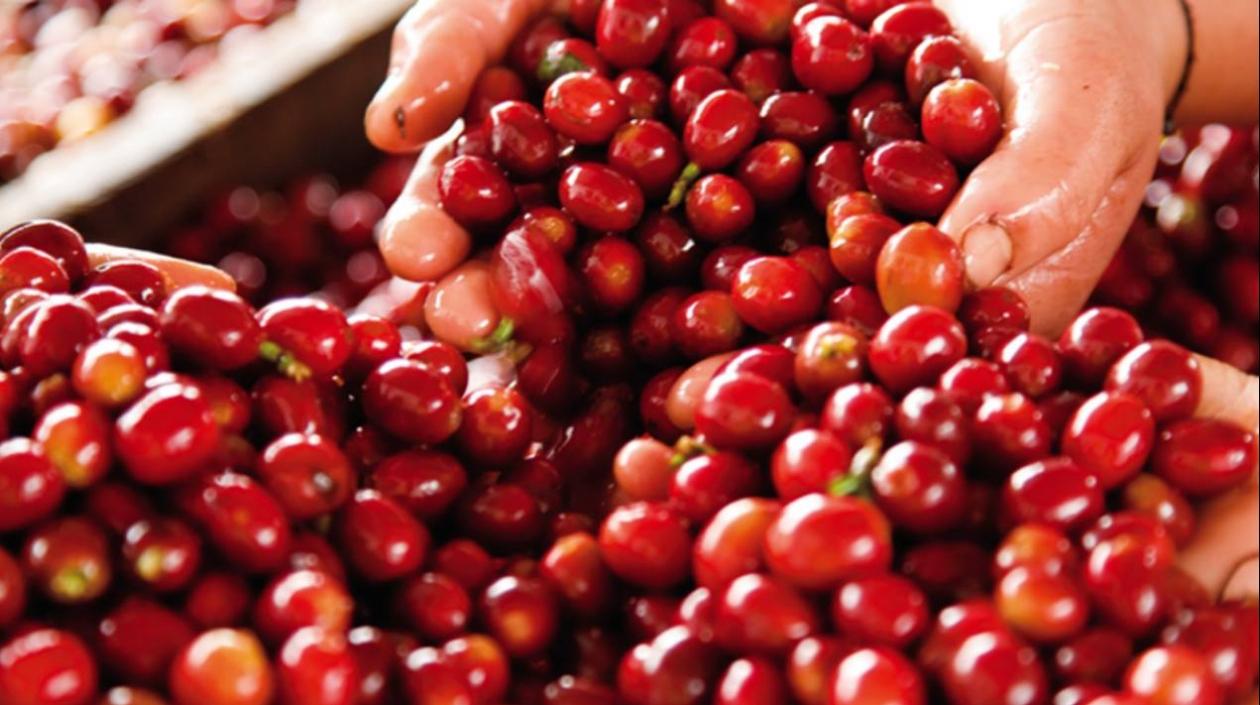 E resultado fue "consecuencia de las fuertes y constantes lluvias en gran parte del país".